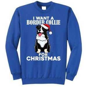 I Want A Border Collie For Christmas Cute Dog Lover Pajamas Gift Sweatshirt