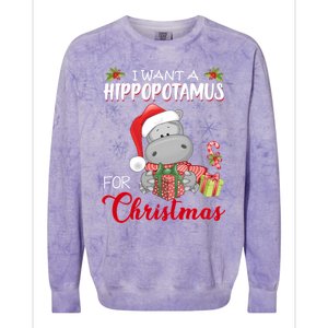 I Want A Hippopotamus For Christmas Xmas Hippo Colorblast Crewneck Sweatshirt