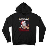 I Want A Hippopotamus For Christmas Xmas Hippo Tall Hoodie