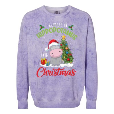 I Want A Hippopotamus For Christmas Hippo Candy Santa Colorblast Crewneck Sweatshirt