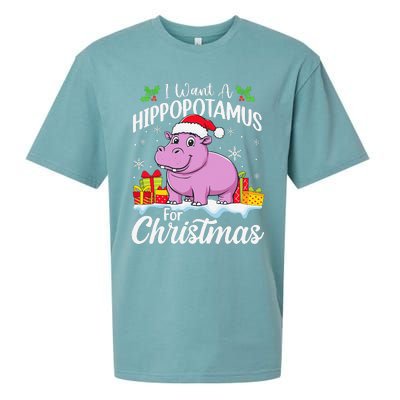 I Want A Hippopotamus For Christmas Xmas Hippo Sueded Cloud Jersey T-Shirt