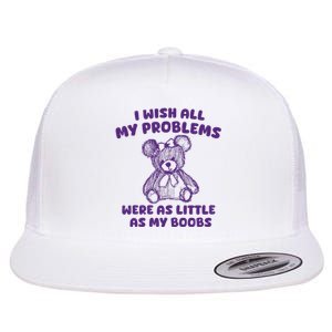 I Wish All My Problems Were Little As My Boobs Flat Bill Trucker Hat