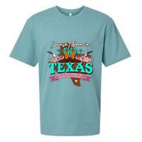 I WasnT Born In Texas But I Got Here As Fast As I Could Sueded Cloud Jersey T-Shirt