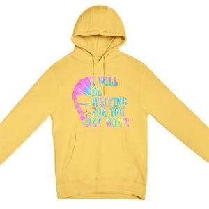 I Will Be Waiting For You At Home Softball Catcher Cute Gift Premium Pullover Hoodie