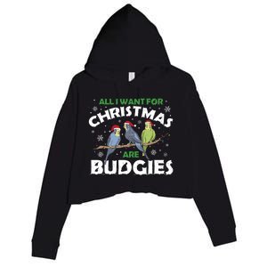 I Want Budgies For Christmas Cute Gift Crop Fleece Hoodie