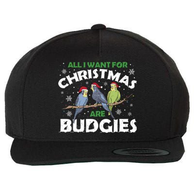 I Want Budgies For Christmas Cute Gift Wool Snapback Cap