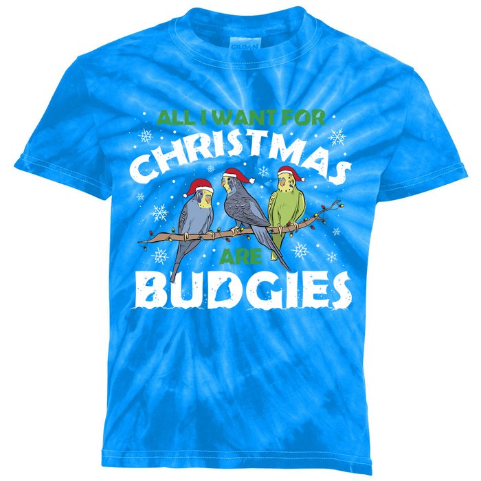 I Want Budgies For Christmas Cute Gift Kids Tie-Dye T-Shirt