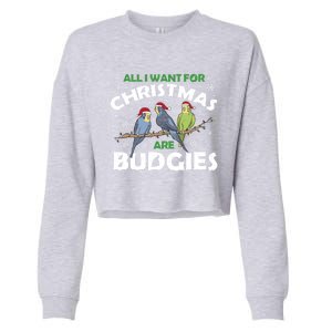 I Want Budgies For Christmas Cute Gift Cropped Pullover Crew