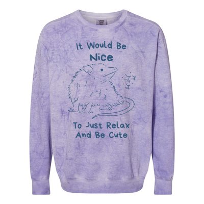 It Would Be Nice To Just Relax And Be Cute Funny Opossum Colorblast Crewneck Sweatshirt