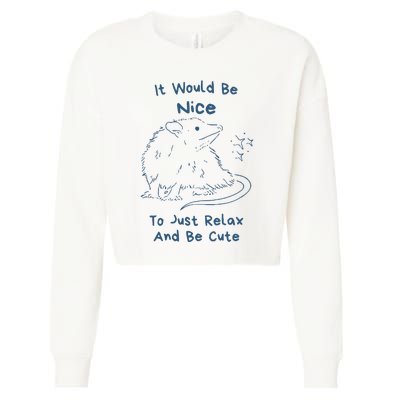 It Would Be Nice To Just Relax And Be Cute Funny Opossum Cropped Pullover Crew