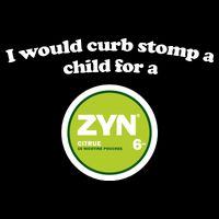 I Would Curb Stomp A Child For A Zyn Poster
