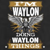 I'M WAYLON DOING Waylon, THINGS Funny Birthday Name Gift Idea Hat