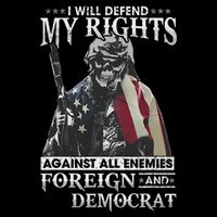 I Will Defend My Rights Against All Enemies Foreign Democrat T-Shirt
