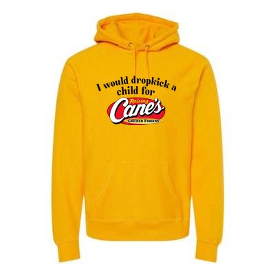 I Would Dropkick A Child For Raising Canes Premium Hoodie