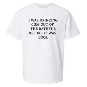 I Was Drinking Cum Out Of The Bathtub Before It Was Cool Sueded Cloud Jersey T-Shirt