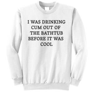 I Was Drinking Cum Out Of The Bathtub Before It Was Cool Sweatshirt