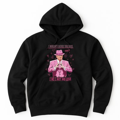 I WouldnT Deport You Baby I No I Not My Love Funny Donald Trump Valentine Hoodie