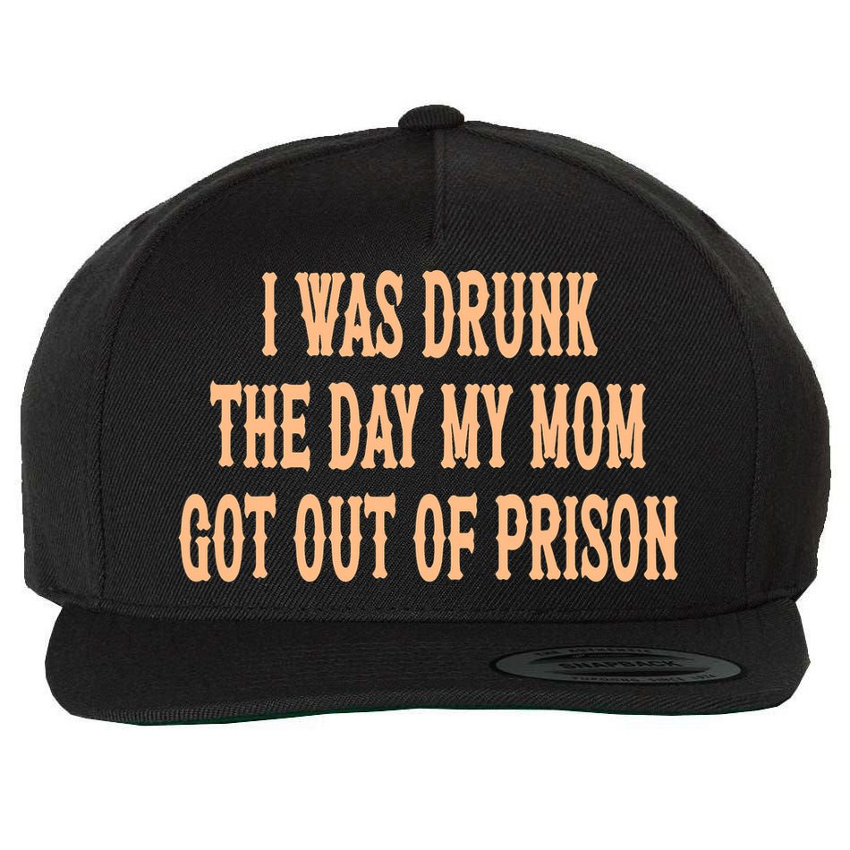 I Was Drunk The Day My Mom Got Out Of Prison Wool Snapback Cap