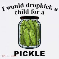 I Would Dropkick A Child For A Pickle Mesh Reversible Basketball Jersey Tank