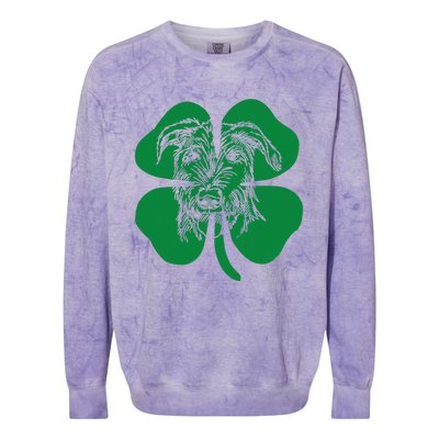 Irish Wolfhound Face Head Green Shamrock Saint Patrick's Day Colorblast Crewneck Sweatshirt