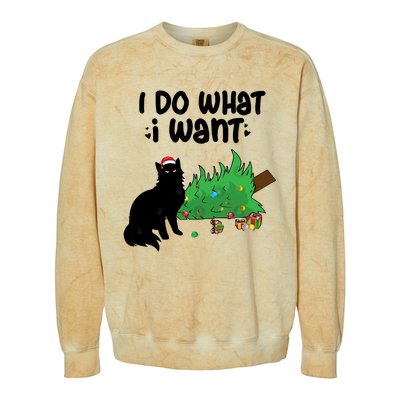 Ido Whatiwant Funny Cat Christmas Tree Cool Gift Colorblast Crewneck Sweatshirt