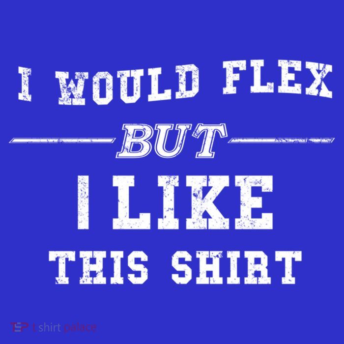 I Would Flex But I Like This Gift Funny Gift Premium T-Shirt