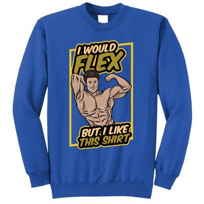 I Would Flex But I Like This Funny Gift Workout Sport Gym Gift Sweatshirt