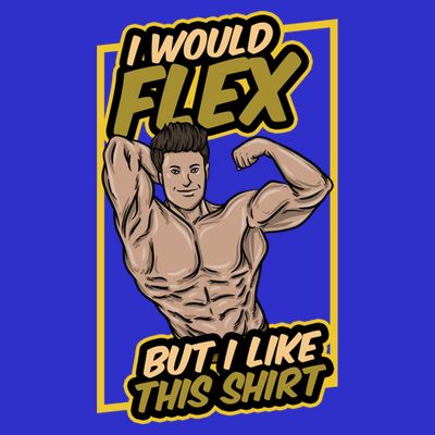 I Would Flex But I Like This Funny Gift Workout Sport Gym Gift T-Shirt