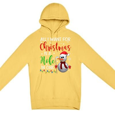 I Want For Christmas Is A Hole In One Golf Ball Snow Xmas Gift Premium Pullover Hoodie