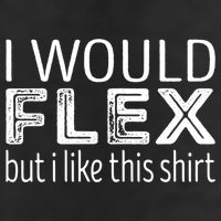 I Would Flex But I Like This Gift Workout Great Gift 25L Jumbo Tote