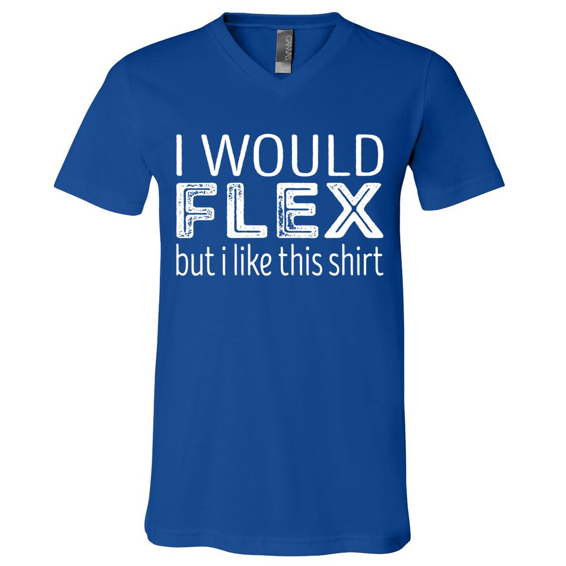 I Would Flex But I Like This Gift Workout Great Gift V-Neck T-Shirt