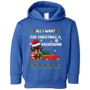 I Want For Christmas Is Dachshund Ugly Christmas Sweater Pet Gift Toddler Hoodie