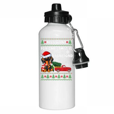 I Want For Christmas Is Dachshund Ugly Christmas Sweater Pet Gift Aluminum Water Bottle 