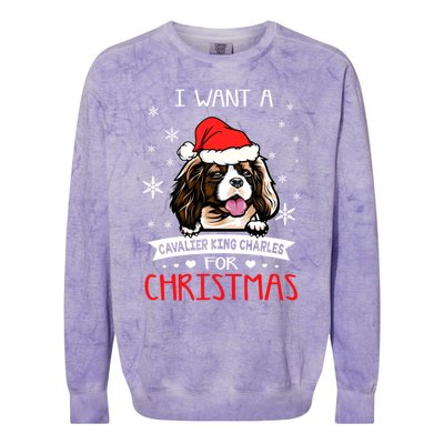 I Want For Christmas Is A Cavalier King Charles Spaniel Gift Colorblast Crewneck Sweatshirt