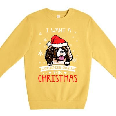 I Want For Christmas Is A Cavalier King Charles Spaniel Gift Premium Crewneck Sweatshirt