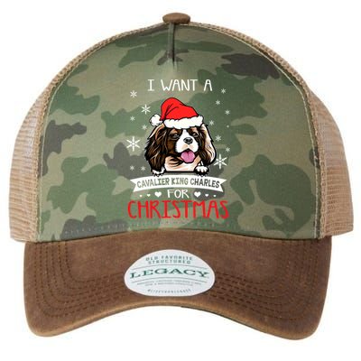 I Want For Christmas Is A Cavalier King Charles Spaniel Gift Legacy Tie Dye Trucker Hat