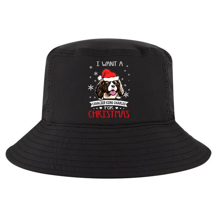 I Want For Christmas Is A Cavalier King Charles Spaniel Gift Cool Comfort Performance Bucket Hat