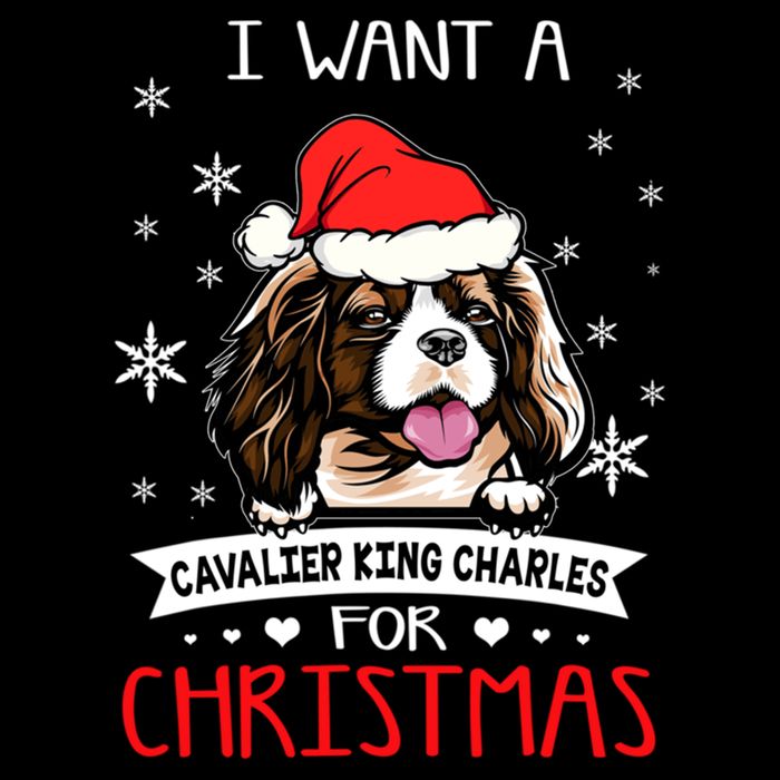 I Want For Christmas Is A Cavalier King Charles Spaniel Gift Cooling Performance Crew T-Shirt