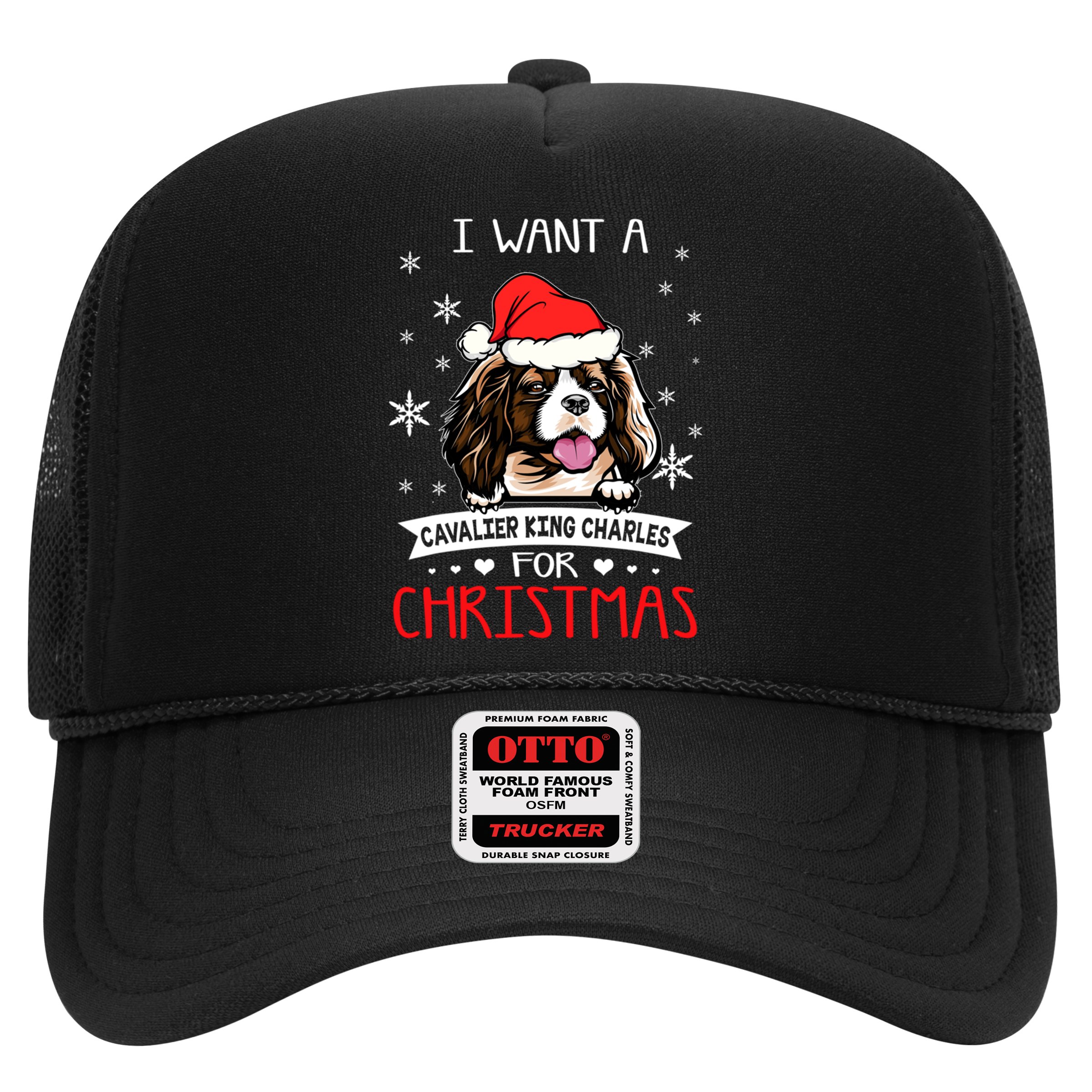 I Want For Christmas Is A Cavalier King Charles Spaniel Gift Hat