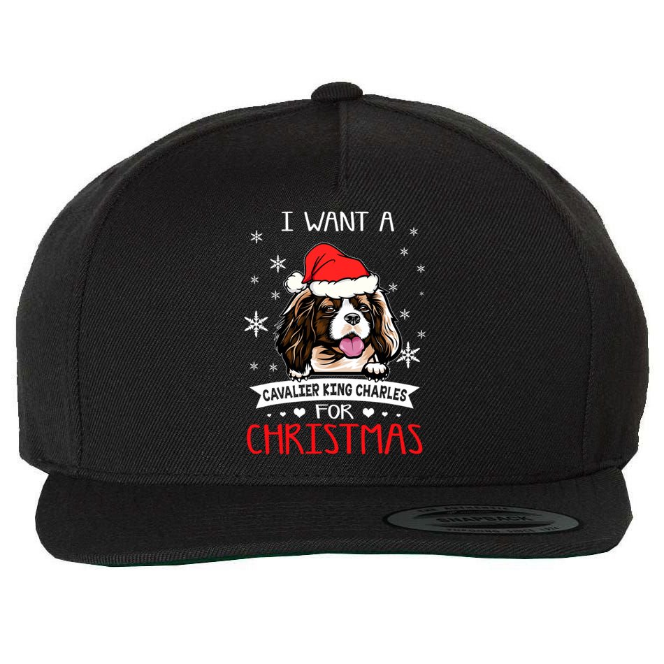 I Want For Christmas Is A Cavalier King Charles Spaniel Gift Wool Snapback Cap