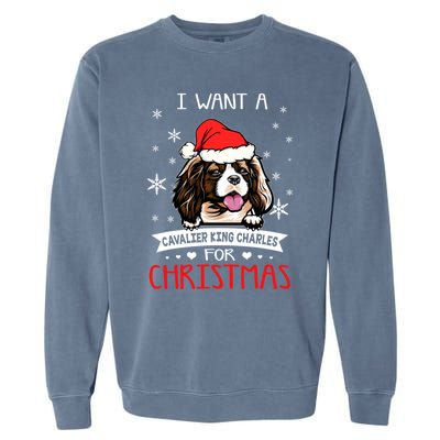 I Want For Christmas Is A Cavalier King Charles Spaniel Gift Garment-Dyed Sweatshirt