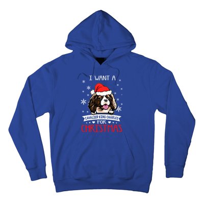 I Want For Christmas Is A Cavalier King Charles Spaniel Gift Hoodie