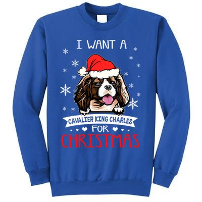 I Want For Christmas Is A Cavalier King Charles Spaniel Gift Sweatshirt