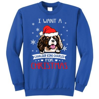 I Want For Christmas Is A Cavalier King Charles Spaniel Gift Sweatshirt