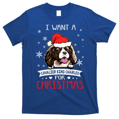 I Want For Christmas Is A Cavalier King Charles Spaniel Gift T-Shirt