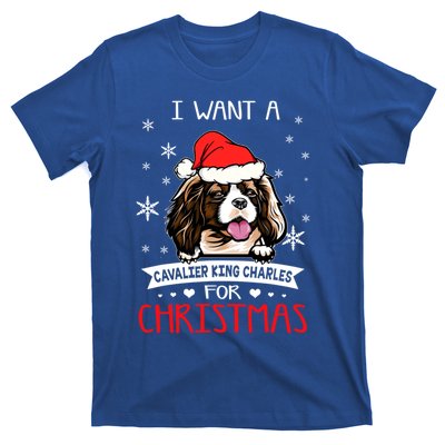 I Want For Christmas Is A Cavalier King Charles Spaniel Gift T-Shirt