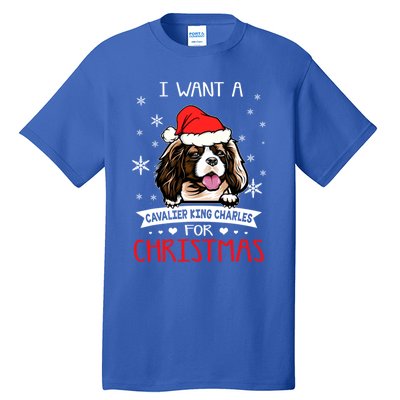 I Want For Christmas Is A Cavalier King Charles Spaniel Gift Tall T-Shirt