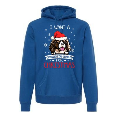 I Want For Christmas Is A Cavalier King Charles Spaniel Gift Premium Hoodie