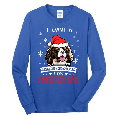 I Want For Christmas Is A Cavalier King Charles Spaniel Gift Tall Long Sleeve T-Shirt