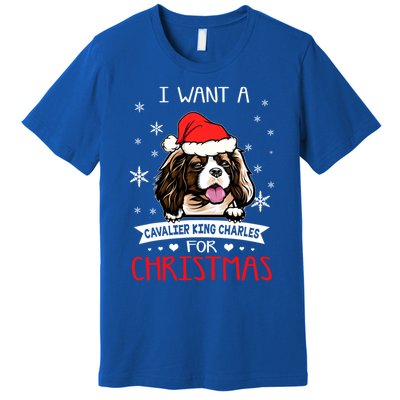 I Want For Christmas Is A Cavalier King Charles Spaniel Gift Premium T-Shirt